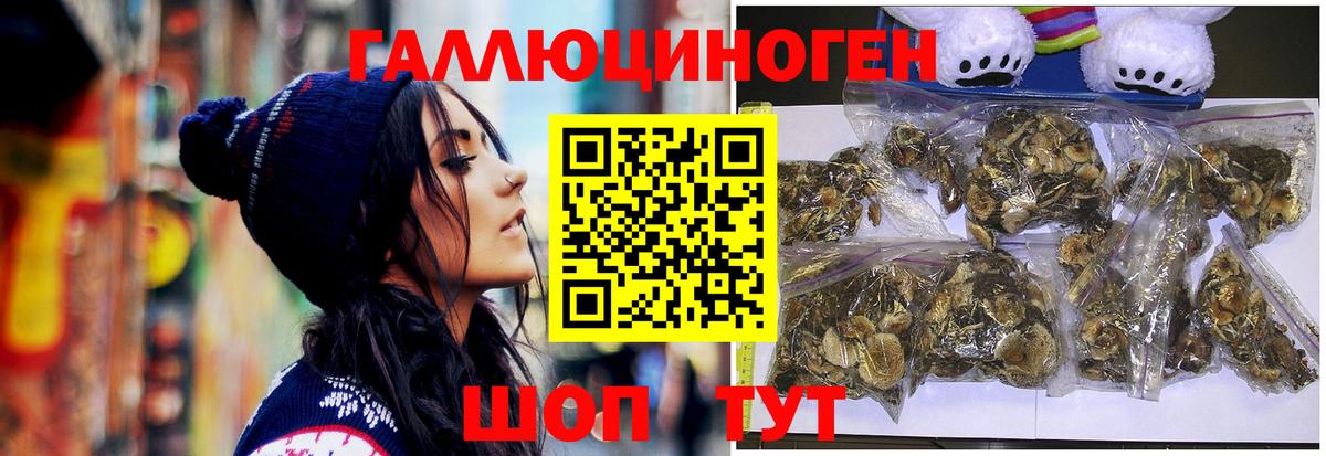 магазин продажи наркотиков  Псилоцибиновые грибы GOLDEN TEACHER  Вход с VPN  Кострома 